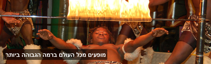צוות בידור